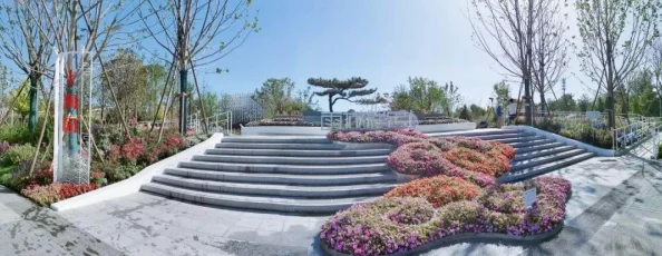 “探索城市天际线：哪个游戏地图拥有最多的平坦地形区域”