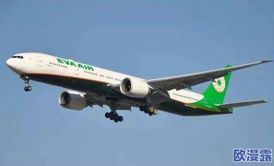 yw193永不失联国际：全球范围内加强航空安全措施，确保航班实时监控与乘客信息透明化