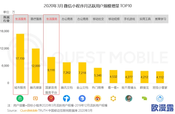 B站大全永不收费2024入口在哪里？用户热议新平台功能与使用体验分析