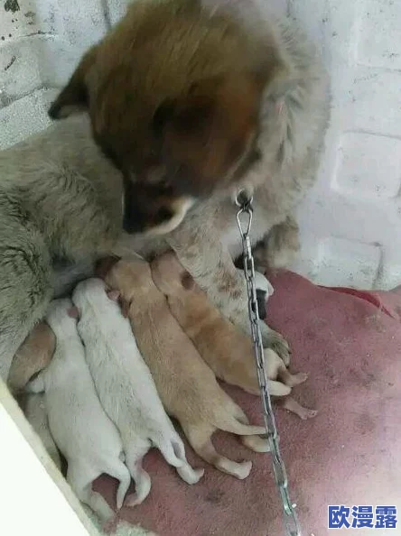 小女孩吃小男孩小叮当游戏引发热议，网友纷纷表示这款游戏的创意和玩法都很有趣，但也有人担心其内容是否适合儿童