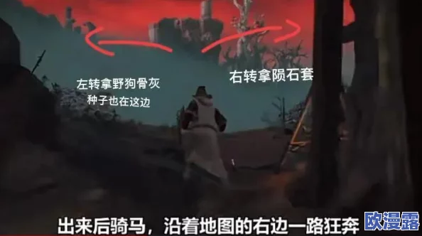 对比分析：艾尔登法环中观星者与囚犯角色，哪个更适合你的游戏风格？