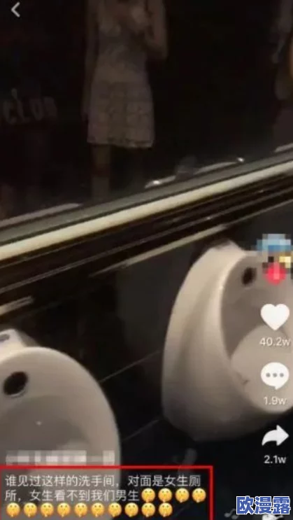 旱厕偷拍XXXXX极品，惊现背后真相，竟是隐藏的秘密网络，震惊网友引发热议！