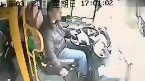 苏苏的公交车日记：惊天大事件！公交车上竟发生离奇事故，乘客瞬间陷入恐慌！
