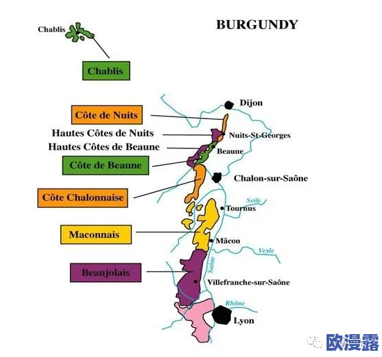 一级产区和二级产区区别是什么？震撼发现：产区分级竟对品质有如此巨大影响！
