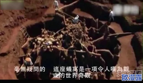 特大BBwBBWBBw另类：惊人发现揭示了人们未曾想到的奇特现象，引发社会各界热议与关注！