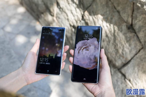日本Windows Phone在中国市场的最新进展与未来发展趋势分析
