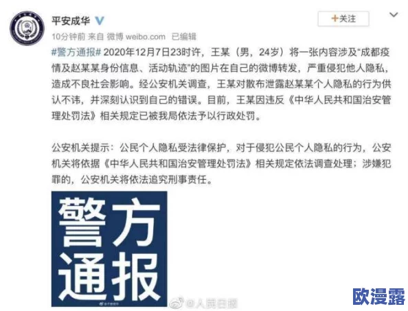 震惊！www好视频平台突遭大规模用户泄露事件，数百万用户隐私数据面临风险！