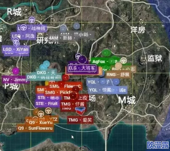 探究和平精英游戏中尼罗河传说皮肤的具体售价是多少