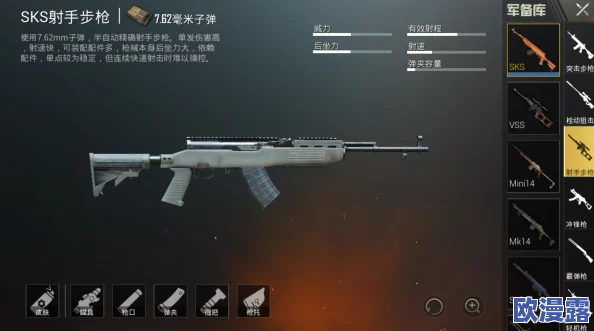 地铁逃生游戏中SKS步枪使用哪个枪口配件最稳定高效
