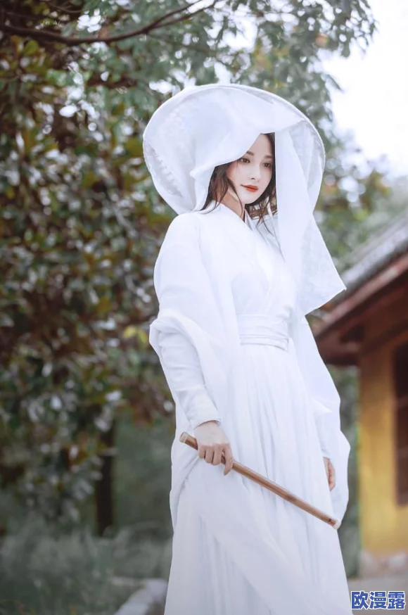 小龙女开始慢慢的迎合古代小说：从金庸笔下的侠女形象看传统文化与现代价值观的交融与碰撞