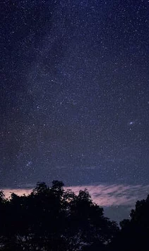 星空无限传媒官网免费下载，震惊！竟然有机会获得独家资源，限时活动不可错过！