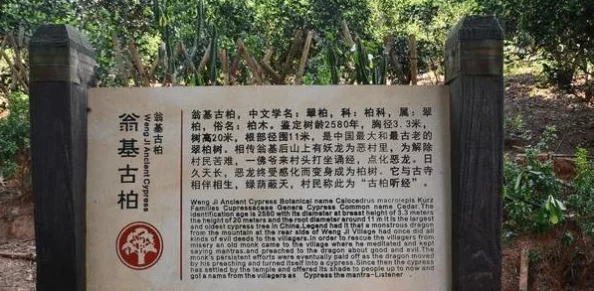 《桃源深处有人家》百闻馆玩法全攻略：从新手入门到高手精通的详尽指南