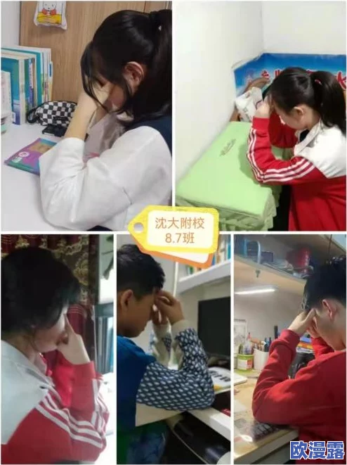 沈阳45岁的老阿姨叫的没谁啦，展现城市生活中的亲情与温暖，反映现代人情感孤独与社交需求