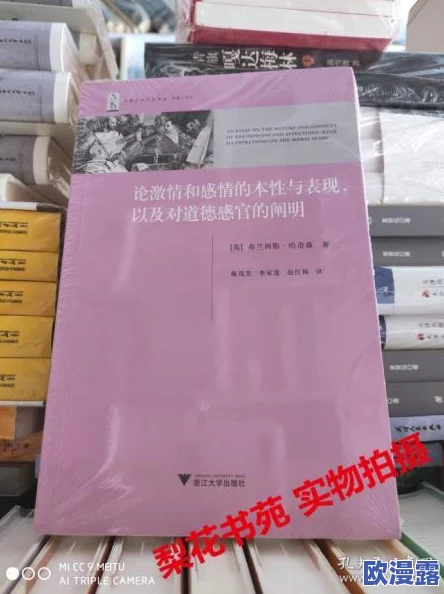 白洁东子高义：探讨两位文学人物在现代社会中的道德观与价值观的碰撞与交融，反映当代人对情感和责任的思考