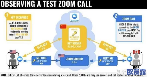日本Zoom与国产Zoom对比：令人震惊的用户体验差异，谁才是视频会议的真正王者？