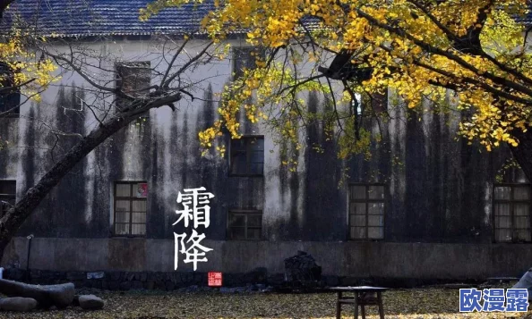 桃源秘境人家迎霜降，一夜寒霜节气庆典活动精彩纷呈