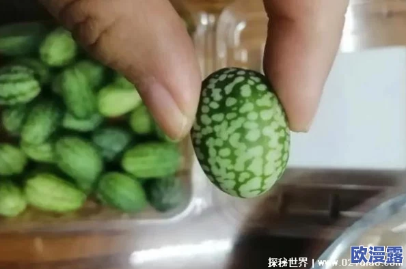 丝瓜草莓：科学家惊人发现，这种杂交水果竟能有效治疗多种疾病！