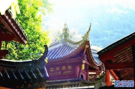 发治郎和甘露寺温泉繁殖进展：新一轮繁殖计划启动，期待更多可爱后代的诞生与保护措施加强