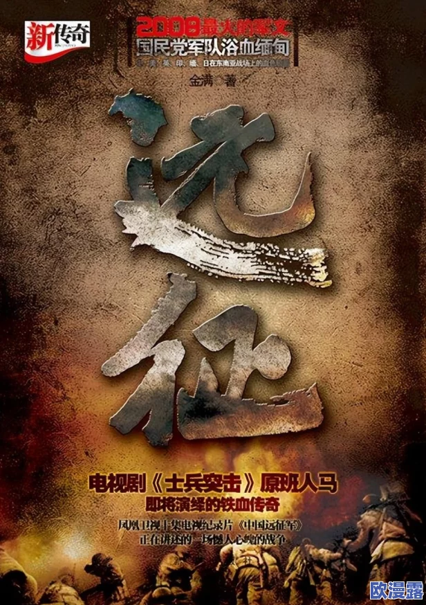 震惊！岳睡了我中文字幕日本，网友直呼无法接受，背后故事竟如此复杂！