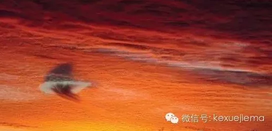 色五月激情：惊人发现！全球首例多重惊艳色彩的自然现象震撼世界科学界，引发广泛讨论和研究！