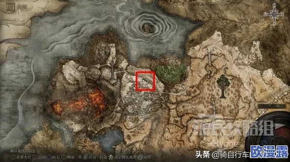 比较艾尔登法环中直剑与弯刀的战斗效能，哪个更胜一筹？