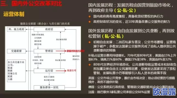 混乱小镇公交车售票系统的现状与改进建议：以用户体验为中心的研究分析
