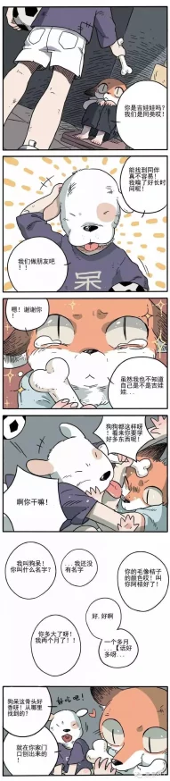 漫漫漫画免费漫画入口页面改装进展：全新界面设计与用户体验优化即将上线，敬请期待！