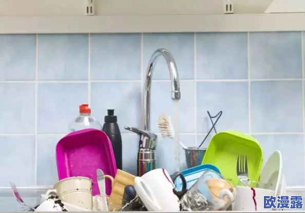 厨房一次又一次的索要刷碗总，惊人发现：原来家务背后藏着不为人知的秘密！