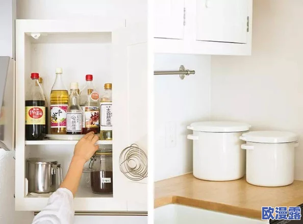 厨房一次又一次的索要刷碗总，惊人发现：原来家务背后藏着不为人知的秘密！