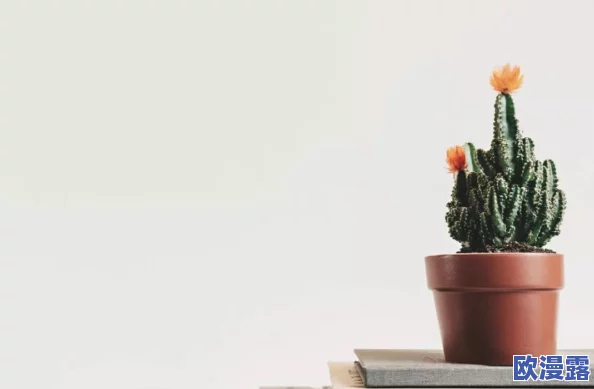 满天星八尺大人：探讨其深厚的文化背景、艺术表现以及对当代社会的影响与启示