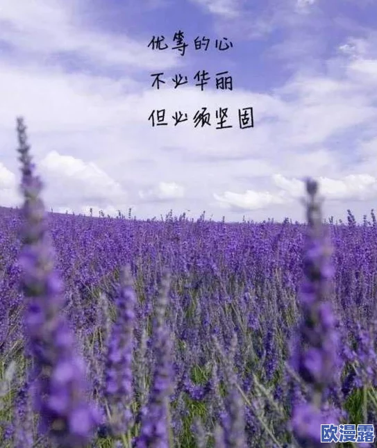 薰衣草网站2024年隐藏入口曝光,用户可解锁惊喜福利,流量激增引发全球关注! 薰衣草网站2024年隐藏入口曝光,用户可解锁惊喜福利,流量激增引发全球关注!