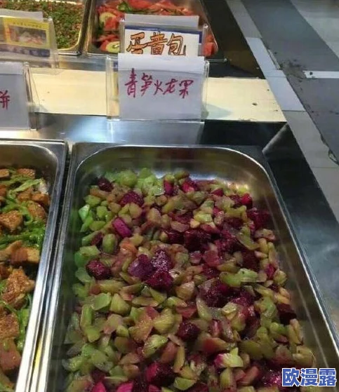 沈阳老阿姨叫的巅峰澎湃：从街头小吃到全国热潮，见证美食文化的传承与创新