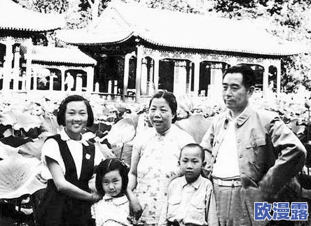 《三国志8重制版》全面解析：武将阶级效果与能力提升详解