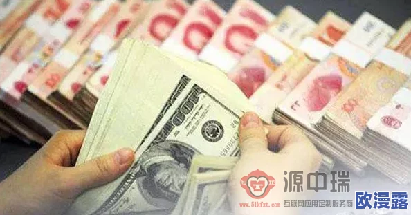 天启行动能不能换人民币？了解天启行动的背景、流程及其对外汇政策的潜在影响和风险分析