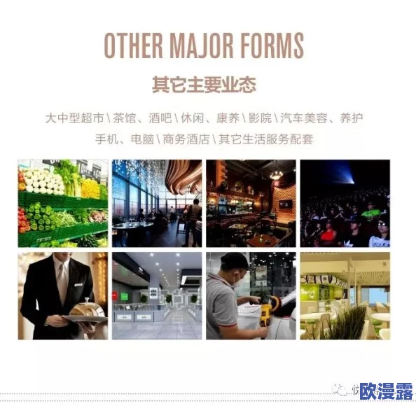 AAAA级毛皮在哪个国家？了解全球顶级毛皮的产地与市场动态，揭示其背后的产业链和经济影响