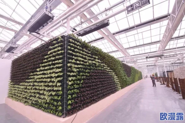 三角洲行动：航天基地内隐秘协议箱的具体藏匿位置探寻