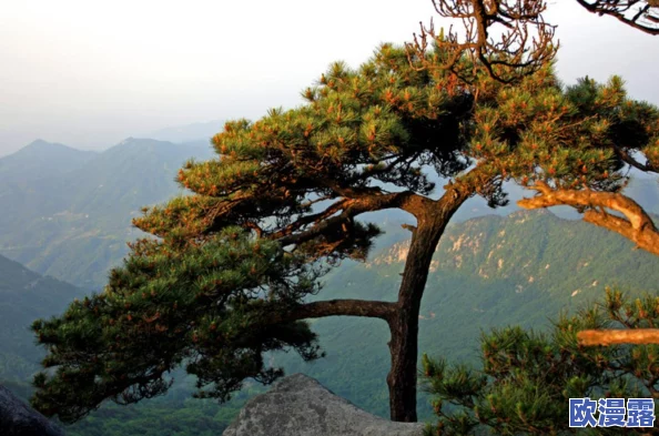 国外黄冈大全：全面介绍黄冈市的历史、文化、名胜古迹及其在国际上的影响力与发展潜力