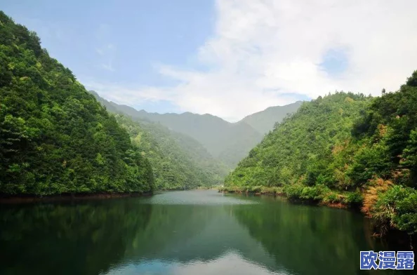 国外黄冈大全：全面介绍黄冈市的历史、文化、名胜古迹及其在国际上的影响力与发展潜力