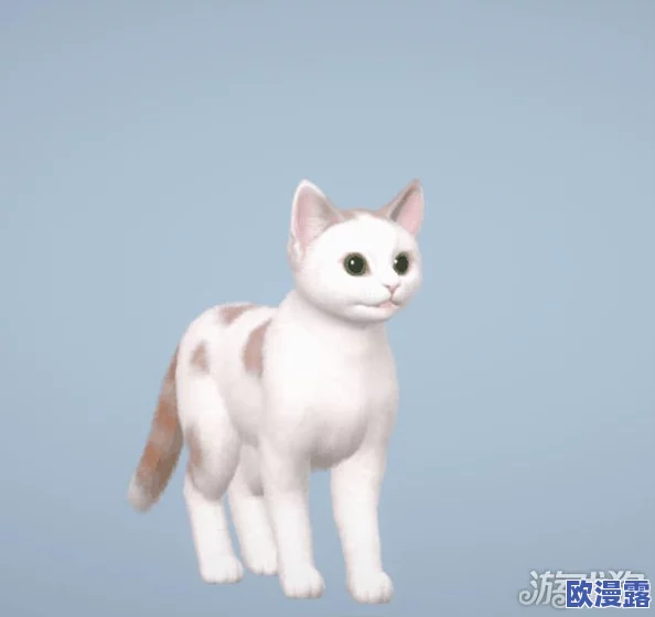 探寻热血江湖中，哪只猫咪的外观更加迷人可爱？