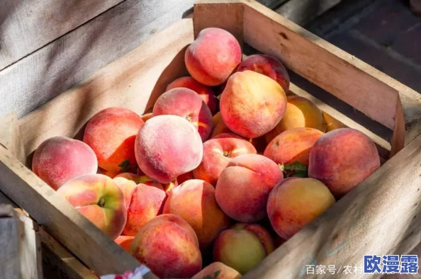 水蜜桃成人：从种植到市场，见证这一水果如何在消费者中赢得青睐与热爱