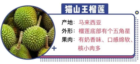 榴莲视频黄色网站惊爆：全球用户突破千万，内容引发热议与争议，背后真相令人震惊！