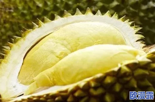 榴莲视频黄色网站惊爆：全球用户突破千万，内容引发热议与争议，背后真相令人震惊！