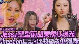 偷窥盗摄ⅤideOSSe：惊爆内部资料泄露，多个知名明星私生活遭受威胁，公众隐私安全再遭严峻挑战！