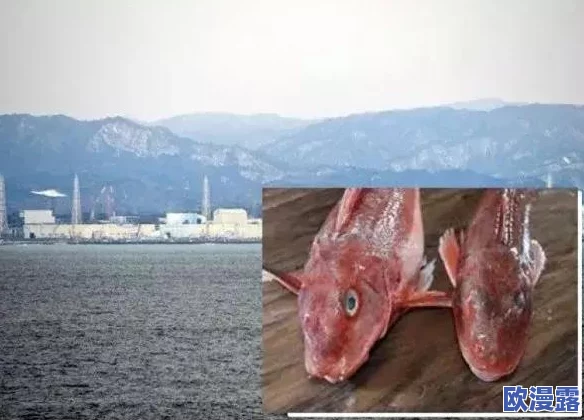 辐射4：面对多元阵营，如何选择加入哪个势力成为关键决策点？