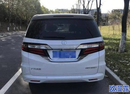 每日大赛：惊天动地！参赛选手竟然在比赛中意外发现古代宝藏，震惊全场！