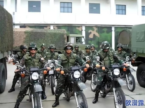 欧美在线激情视频：震惊！全球用户数据泄露，数百万隐私信息遭曝光，引发网络安全危机！