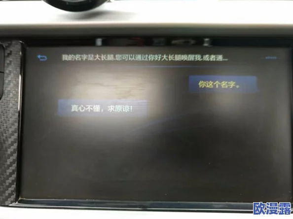 tom5799转入接口介绍：详细解析该接口的功能、使用方法及其在系统中的应用场景与优势