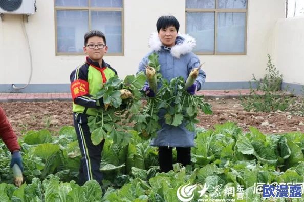 美女拨萝卜：探讨农村女性在农业生产中的角色与贡献及其对乡村振兴的影响分析