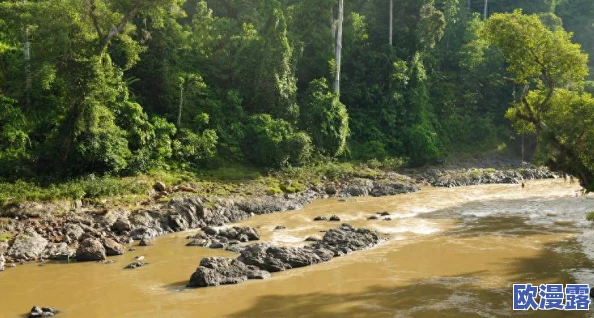 美女bbbb:惊天消息曝光,竟然在国际舞台上引发了巨大的轰动与关注,令人瞠目结舌! 美女bbbb:惊天消息曝光,竟然在国际舞台上引发了巨大的轰动与关注,令人瞠目结舌!