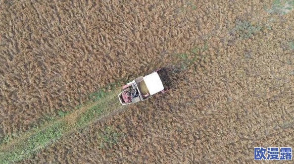 《三角洲行动》深度解析:航天基地核心资源点全面介绍 《三角洲行动》深度解析:航天基地核心资源点全面介绍